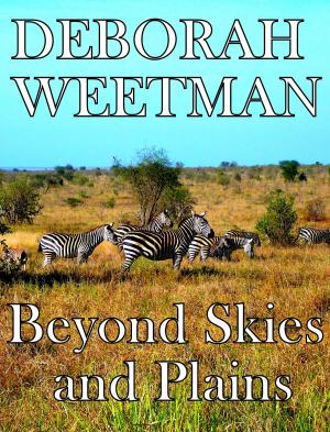 Cover of the book Beyond Skies and Plains by Christine Rimmer