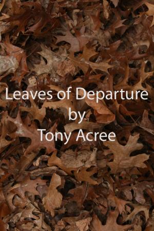 Cover of the book The Leaves of Departure by Max du Veuzit (1876-1952)