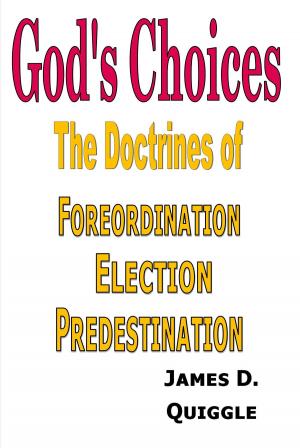 Cover of the book God's Choices by James D. Quiggle