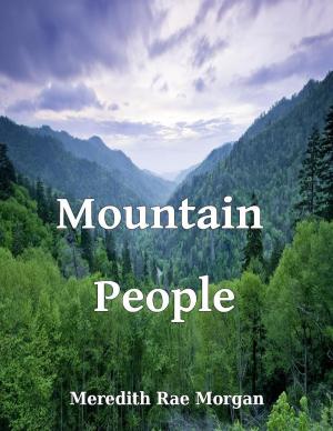 Cover of the book Mountain People by D.E. Stevenson, Víctor Gallego Ballestero