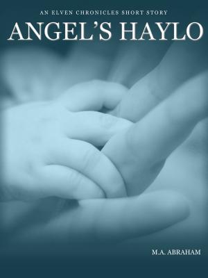 bigCover of the book Angel's Haylo by 