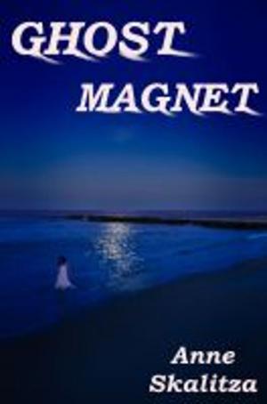 Cover of the book Ghost Magnet by Adam Mortimer