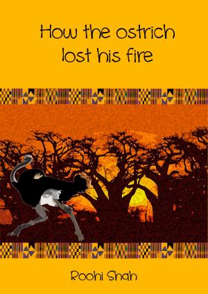 Cover of the book How the ostrich lost his fire by Warren Haustrumerda