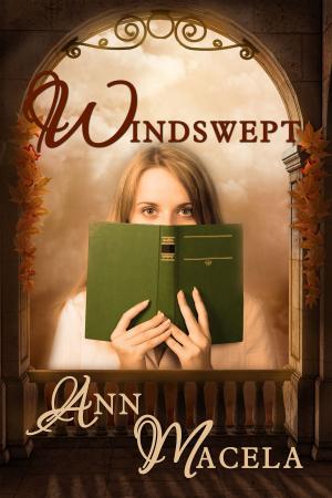 Cover of the book Windswept by Amanda Schmidt