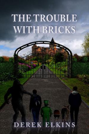 bigCover of the book The Trouble with Bricks by 