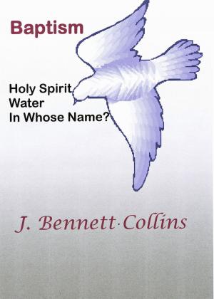 Cover of the book Baptism, Holy Spirit, Water, In Whose Name? by Scott McGillivray