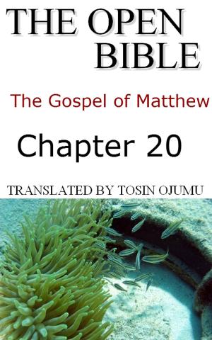 Cover of the book The Open Bible: The Gospel of Matthew: Chapter 20 by Open Bible Matthew