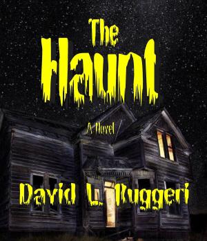Book cover of The Haunt