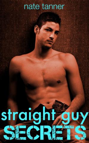 Cover of the book Straight Guy Secrets by Serenity Cain