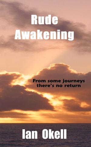 Cover of the book Rude Awakening by Donna Baker
