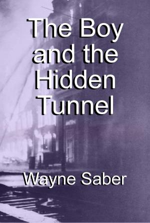 Cover of the book The Boy and the Hidden Tunnel by Andrew Clawson