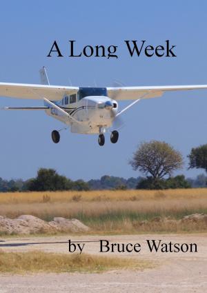 bigCover of the book A Long Week by 