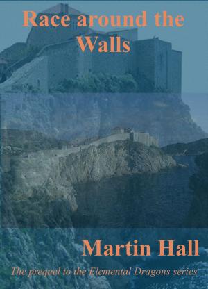 Book cover of Race Around the Walls