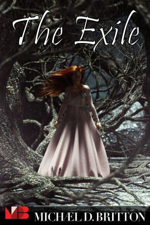 Cover of the book The Exile by Vivienne Neas