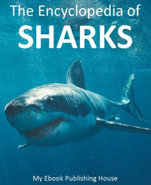 Cover of the book The Encyclopedia of Sharks by Harriet Beecher Stowe