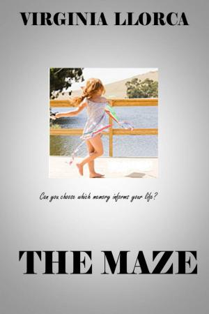 Cover of the book The Maze by Rachel Lacey