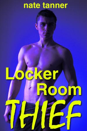 Cover of the book Locker Room Thief by Stephanie A. Cain