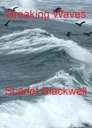 Cover of the book Breaking Waves by Kimberly G. Giarratano