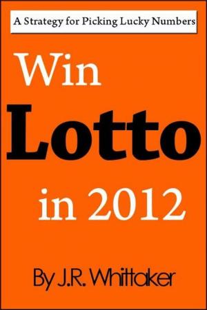 bigCover of the book Win Lotto in 2016 (A Strategy for Picking Lucky Numbers) by 