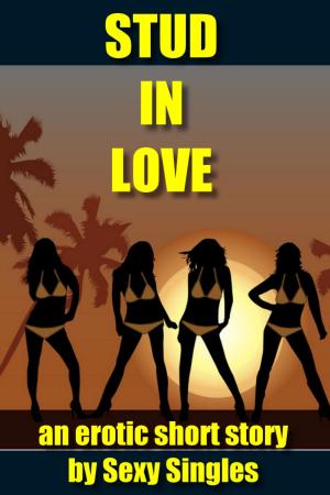 Cover of the book Stud in Love by Hayden Braeburn