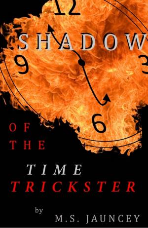 Book cover of Shadow of the Time Trickster