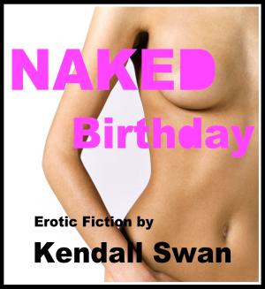 Book cover of Naked Birthday