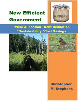 Book cover of New Efficient Government