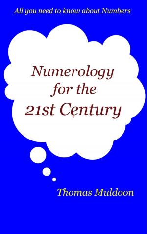 Cover of Numerology for the 21st Century