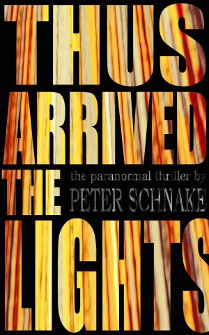 Cover of the book Thus Arrived The Lights by April Sadowski