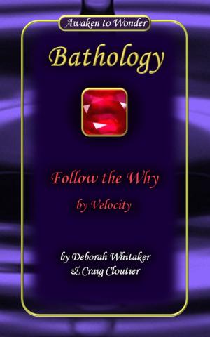 Cover of the book Follow the Why by Velocity Bathology Series by Ambrose Nwaopara