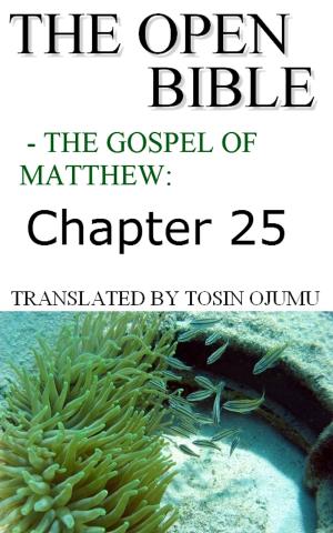 Cover of The Open Bible: The Gospel of Matthew: Chapter 25