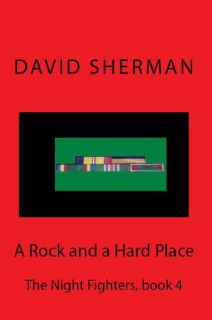 Book cover of A Rock and a Hard Place