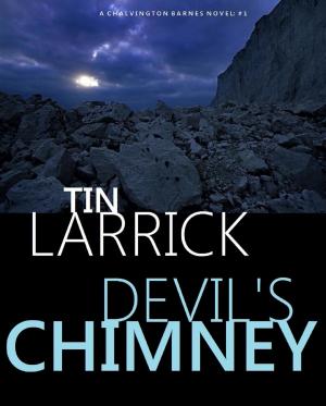 Cover of the book Devil's Chimney by David Barry