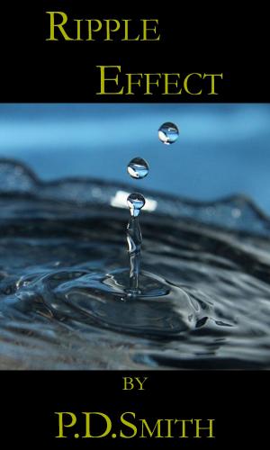 Cover of the book Ripple Effect by Valerie Biel