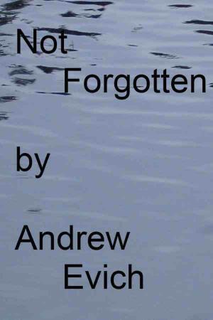 bigCover of the book Not Forgotten by 