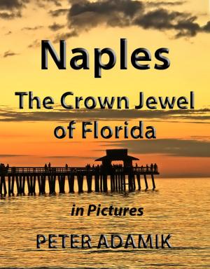 Book cover of Naples The Crown Jewel of Florida in Pictures