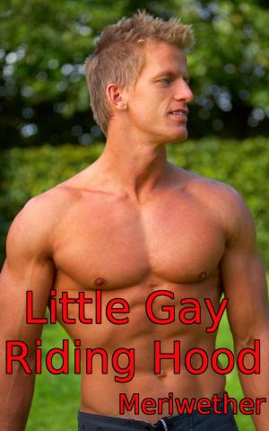 Cover of the book Little Gay Riding Hood: Eaten by a Wolf by D.F. Holland