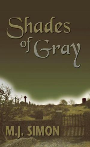 Cover of the book Shades of Gray by Christopher Farnsworth