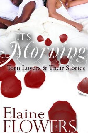 Book cover of It's Morning: Torn Lovers and Their Stories