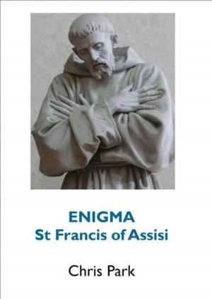 Cover of the book ENIGMA: St Francis of Assisi by dave e. keliher