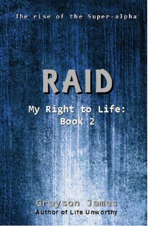 Cover of the book Raid by Jen Katemi