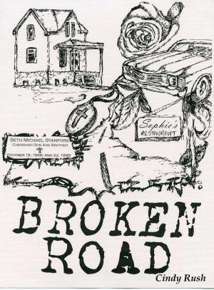 bigCover of the book Broken Road by 