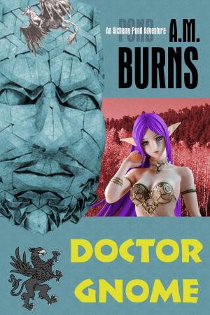 Book cover of Doctor Gnome