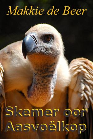 Cover of Skemer oor Aasvoëlkop