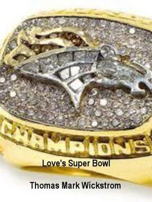 Book cover of Love's Super Bowl