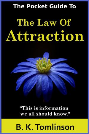 Book cover of The Pocket Guide To The Law Of Attraction