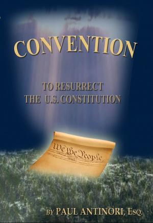 Cover of the book Convention: To Resurrect The U.S. Constitution by Meike Hohenwarter
