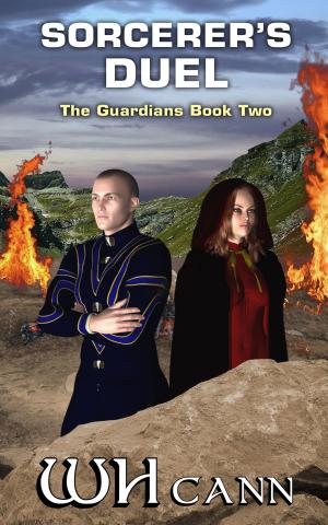 Book cover of The Guardians Book 2: Sorcerer's Duel