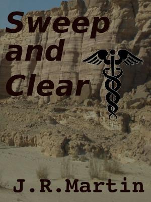Cover of the book Sweep and Clear by Richard Swan