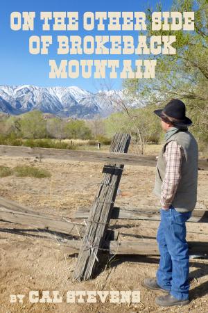 Cover of the book On the other side of Brokeback Mountain by Paul Vitols